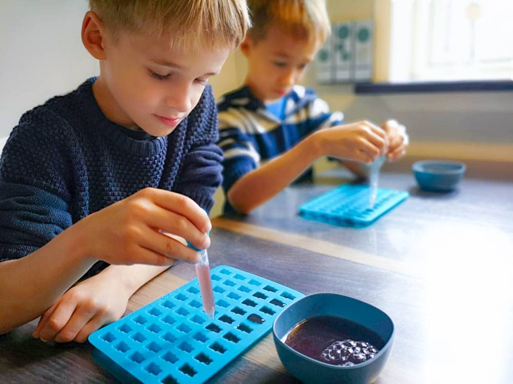 hjemmeskole hvordan og hvorfor, homeschool